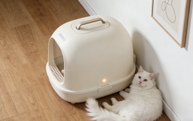 AI赋能智能猫砂盆：宠智灵重构宠物健康监测路径