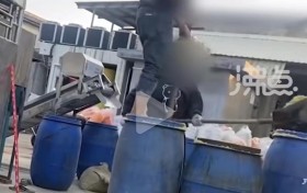 汕头腌制厂工人用脚踩菜(焦点)